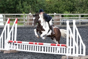 Class 4 - Fences 2'3 to 2'6